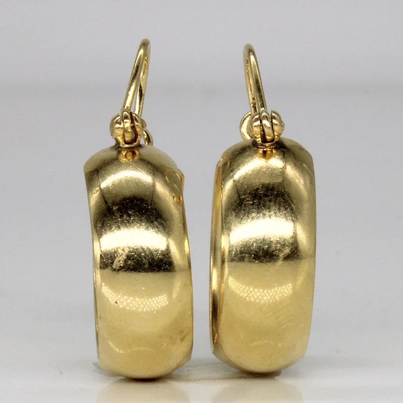 14k Yellow Gold Hoop Earrings