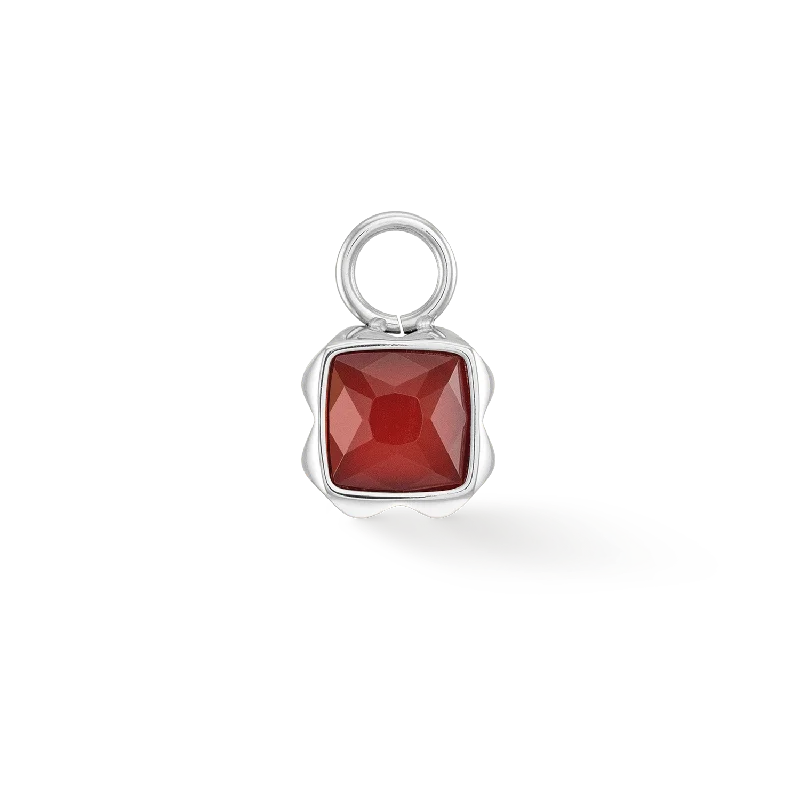 Celebrate Every Occasion With Sparkling Savings Birthstone January Charm Red Agate Silver Celebrate Every Occasion With Sparkling Savings Birthstone January Charm Red Agate Silver